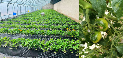 微信图片_2026-02-14_172244_534