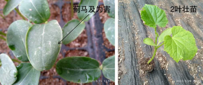 微信图片_2026-02-14_172920_199