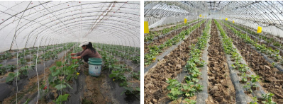 微信图片_2026-02-14_172923_183