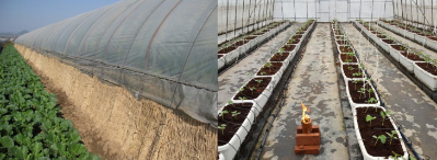 微信图片_2026-02-14_173253_336