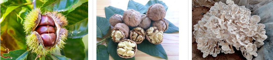 微信图片_2025-09-04_155313_827