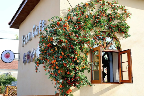 微信图片_2025-09-18_172647_637