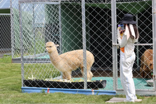 微信图片_2025-09-18_172710_914