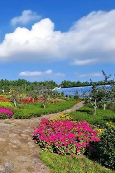 微信图片_2025-09-24_165003_633