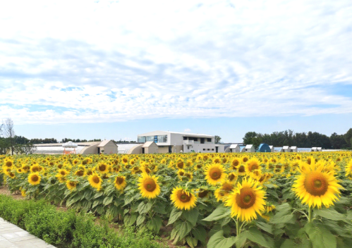 微信图片_2025-09-24_165025_962