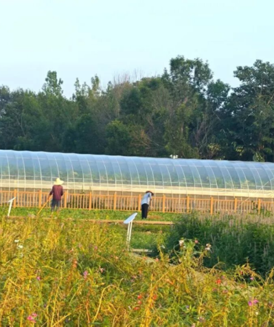 微信图片_2025-09-24_165039_186