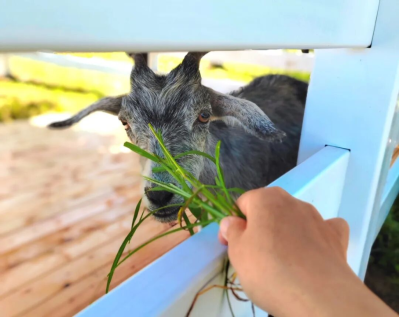 微信图片_2025-09-24_165058_210