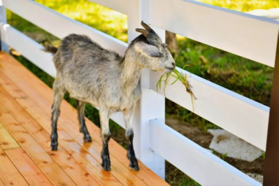 微信图片_2025-09-24_165055_706