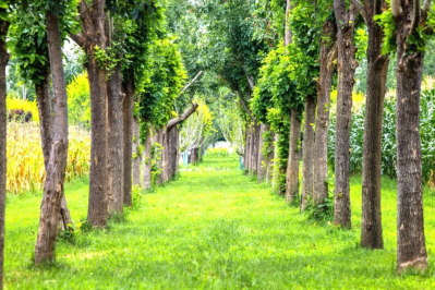 微信图片_2025-09-24_165100_634