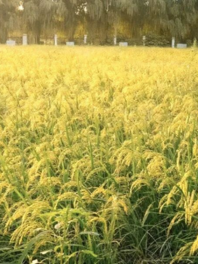 微信图片_2025-09-24_165120_659