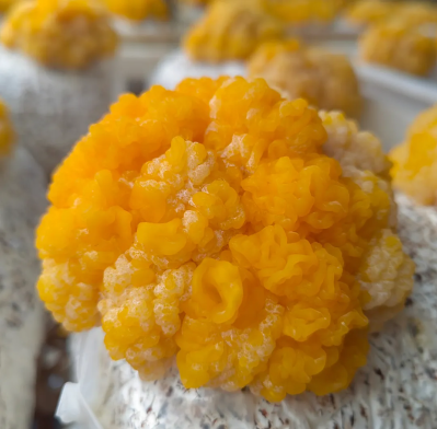 微信图片_2025-09-25_171024_248