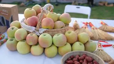 微信图片_2025-09-25_171028_296