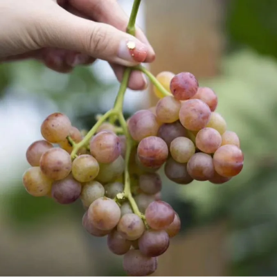 微信图片_2025-09-25_171036_952