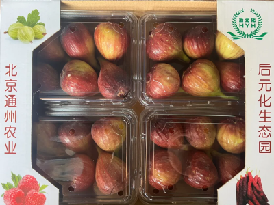 微信图片_2025-09-25_171039_177