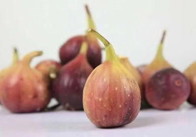 微信图片_2025-09-25_171041_792