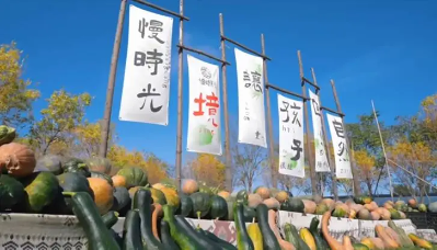 微信图片_2025-09-25_171046_337