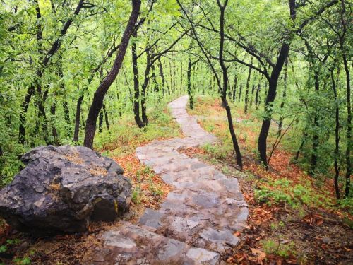 微信图片_2025-09-30_092936_074