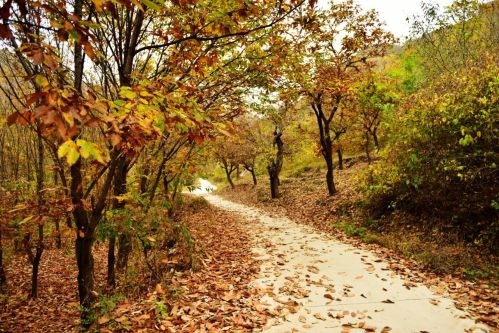 微信图片_2025-09-30_092941_745