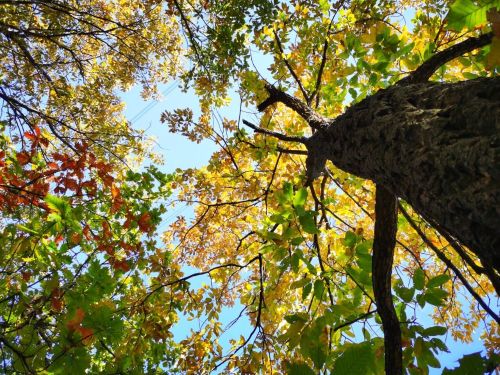 微信图片_2025-09-30_092939_418