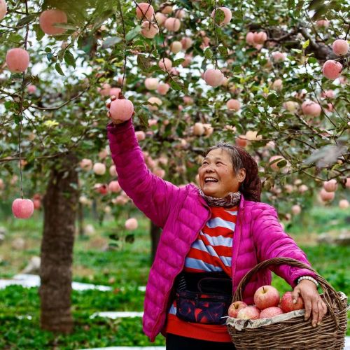 微信图片_2025-09-30_092944_161