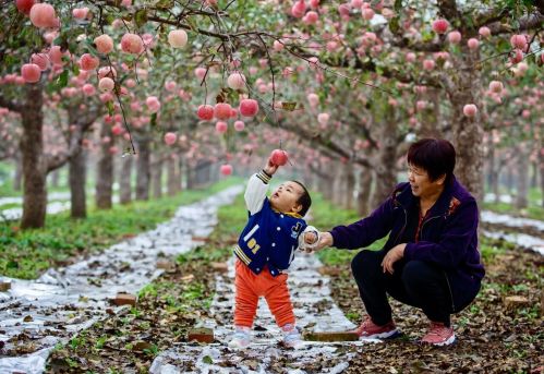 微信图片_2025-09-30_092946_242