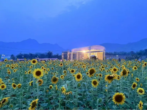 微信图片_2025-10-09_110622_414