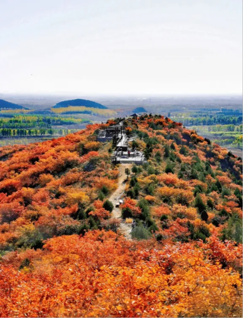 微信图片_2025-10-09_112631_773