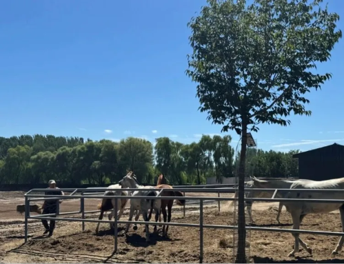 微信图片_2025-10-09_112646_676