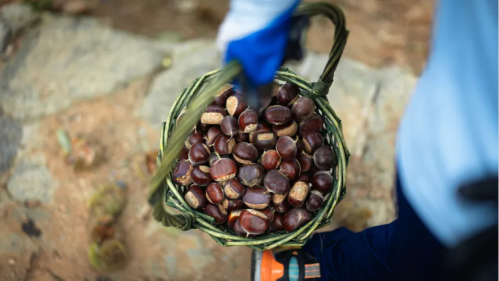 微信图片_2025-10-09_140955_044 微信图片_2025-10-09_140955_044