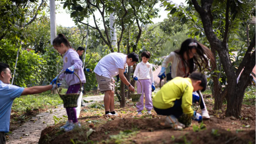 微信图片_2025-10-09_140951_461 微信图片_2025-10-09_140951_461