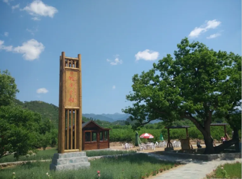 微信图片_2025-10-09_141006_101 微信图片_2025-10-09_141006_101