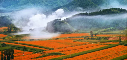 微信图片_2025-10-09_142308_397 微信图片_2025-10-09_142308_397