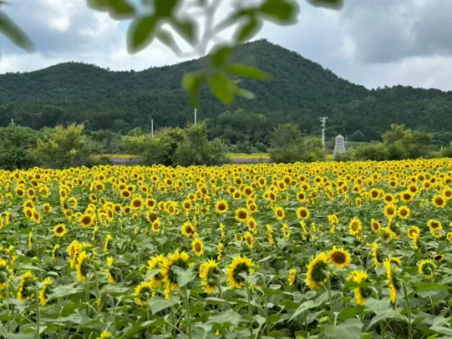 微信图片_2025-10-09_142318_806 微信图片_2025-10-09_142318_806