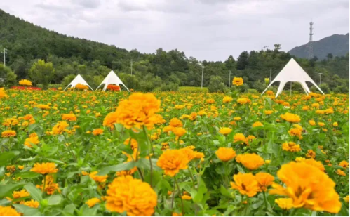 微信图片_2025-10-09_142323_158 微信图片_2025-10-09_142323_158