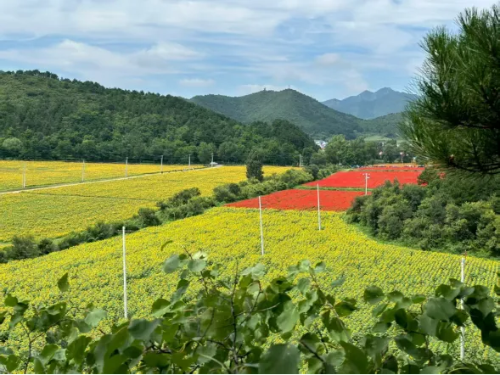 微信图片_2025-10-09_142320_918 微信图片_2025-10-09_142320_918