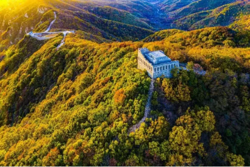 微信图片_2025-10-09_142328_229 微信图片_2025-10-09_142328_229