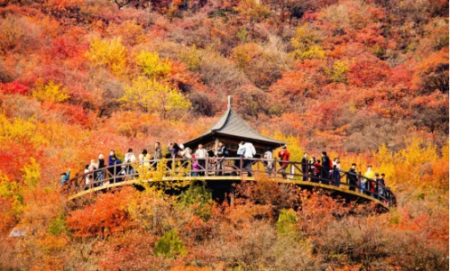 微信图片_2025-10-09_143304_421 微信图片_2025-10-09_143304_421