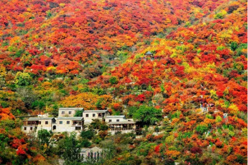 微信图片_2025-10-09_143301_892 微信图片_2025-10-09_143301_892