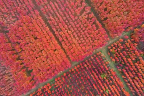 微信图片_2025-11-05_150000_416 微信图片_2025-11-05_150000_416