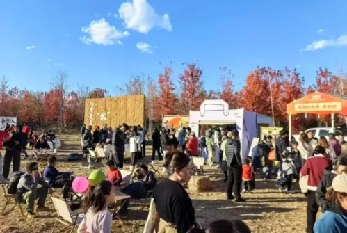 微信图片_2025-11-05_150002_687 微信图片_2025-11-05_150002_687