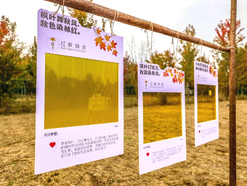 微信图片_2025-11-05_150011_975 微信图片_2025-11-05_150011_975