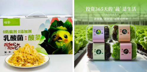 微信图片_2025-11-05_150032_896 微信图片_2025-11-05_150032_896