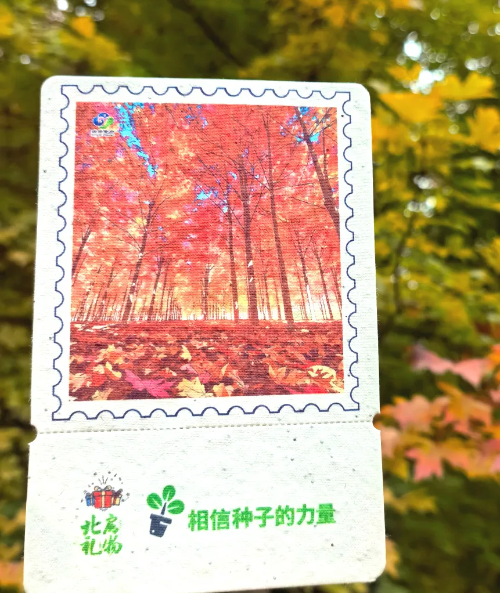 微信图片_2025-11-05_150045_351 微信图片_2025-11-05_150045_351