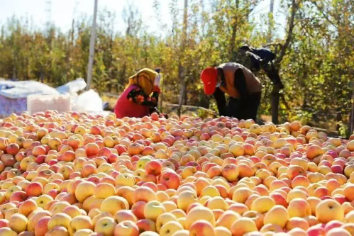 微信图片_2025-11-05_150039_055 微信图片_2025-11-05_150039_055