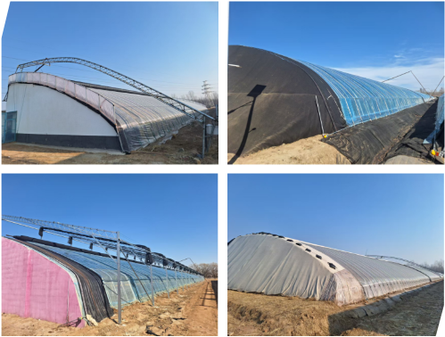 微信图片_20250410133859