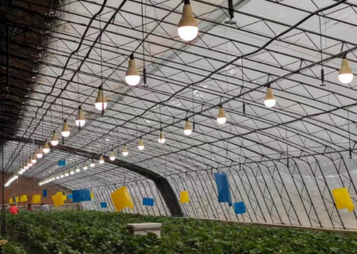 微信图片_2025-12-11_144718_265