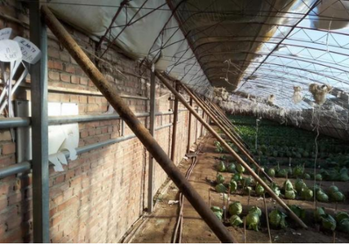 微信图片_2025-12-11_144731_519