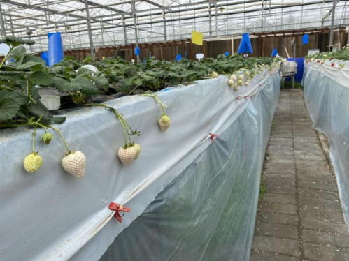 微信图片_2025-12-11_144751_551