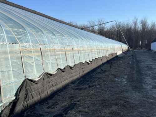 微信图片_2025-12-11_144800_320