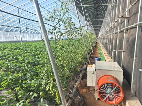 微信图片_2025-12-11_144755_864